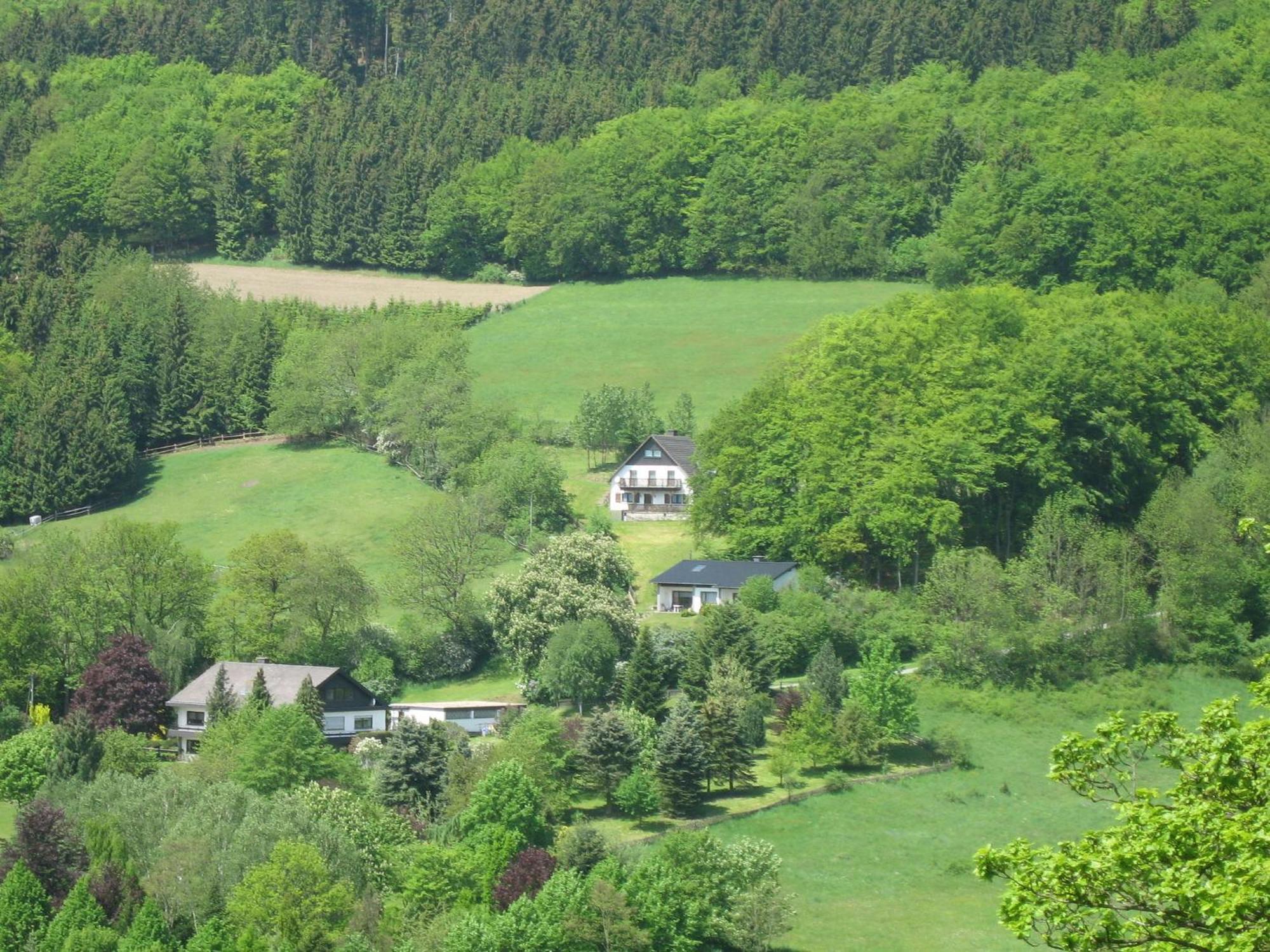 Nice Holiday Home Near Ski Area Medebach Exteriör bild